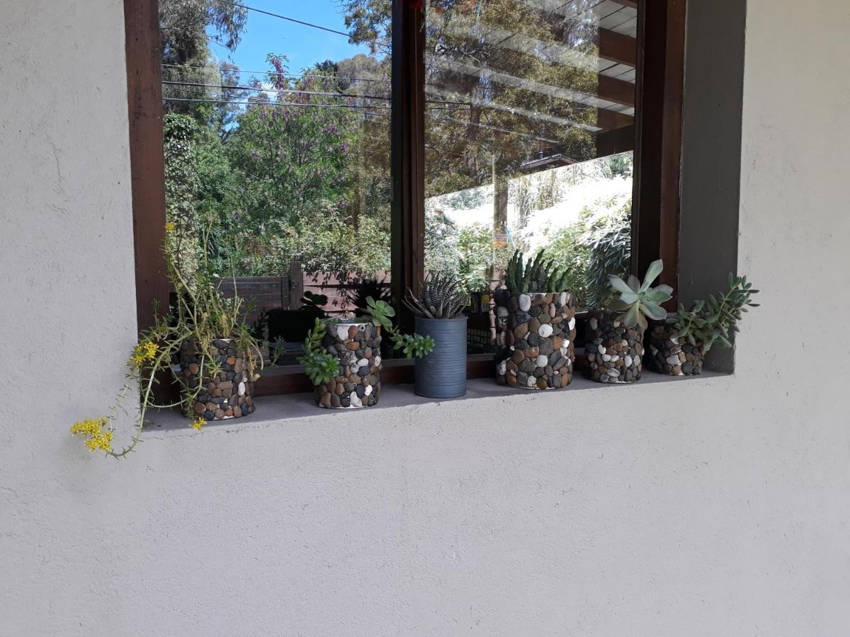 Las Cortaderas Bosque Peralta Ramos Mar del Plata Buitenkant foto