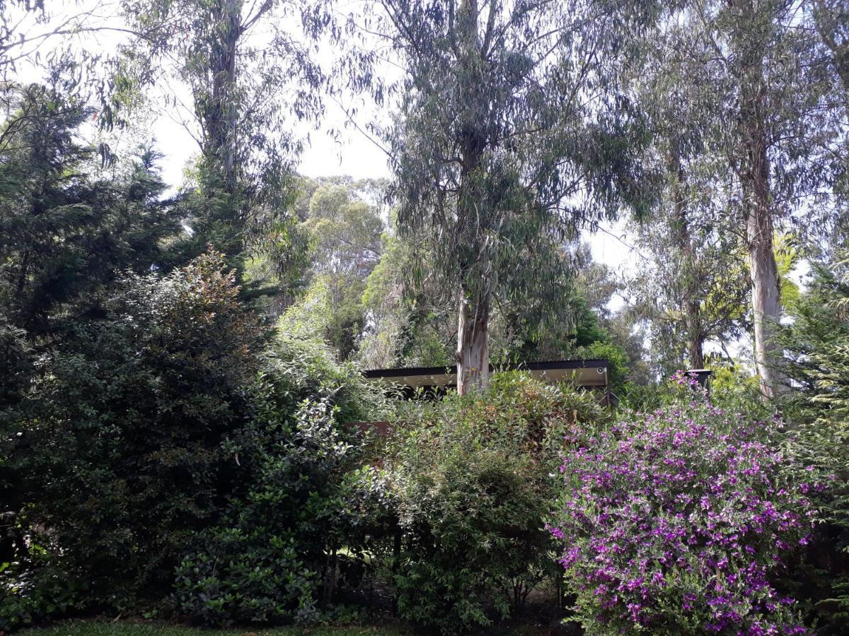 Las Cortaderas Bosque Peralta Ramos Mar del Plata Buitenkant foto
