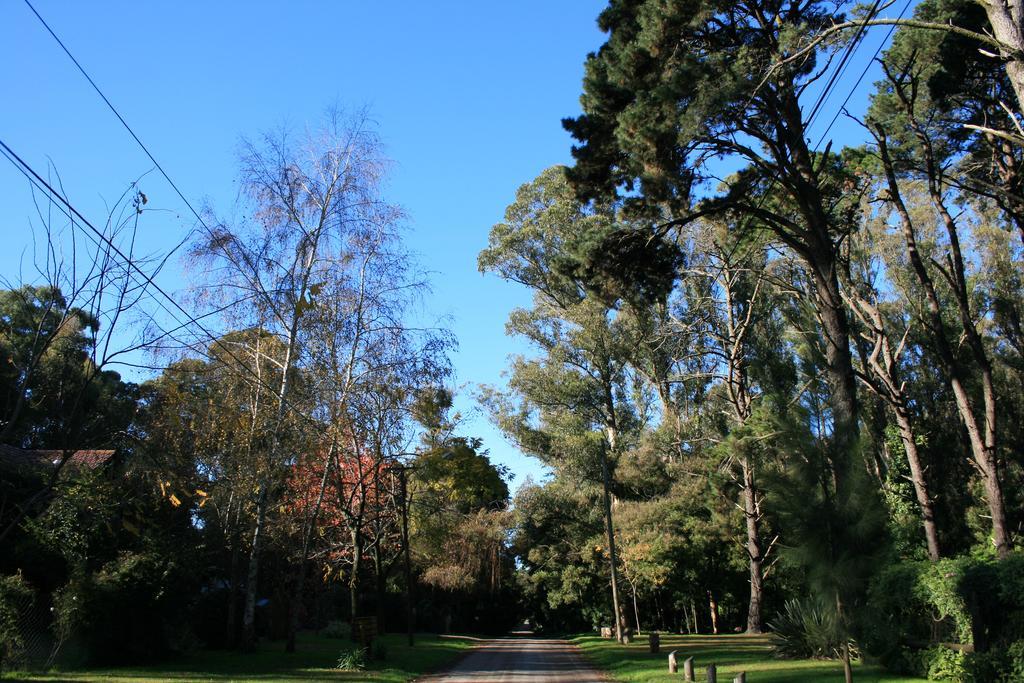 Las Cortaderas Bosque Peralta Ramos Mar del Plata Buitenkant foto